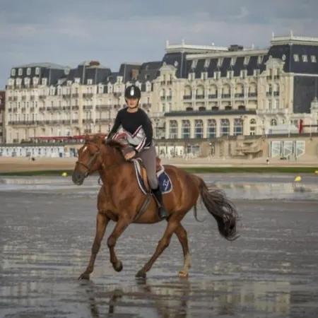 Convivialité Au Calme * Cabourg
