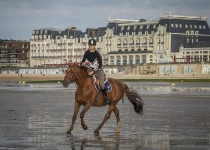 Convivialité Au Calme * Cabourg